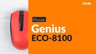 Распаковка мыши Genius ECO-8100 / Unboxing Genius ECO-8100