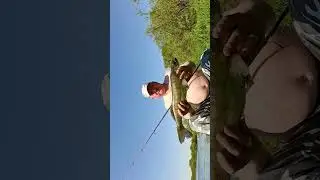 Старые места не подводят.