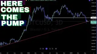 IS BITCOIN GOING TO PUMP  
