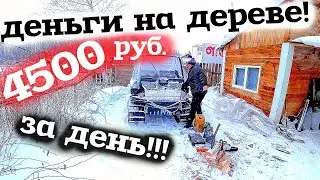 4,500 rubles per day! Money on a tree! Earnings on an all-terrain vehicle in the taiga! My trade ...