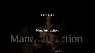 OneWaySosa- Mane Attraction