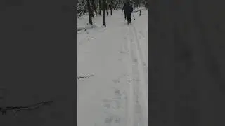 Заслуженные тренера. Первый выход на лыжи в этом году.