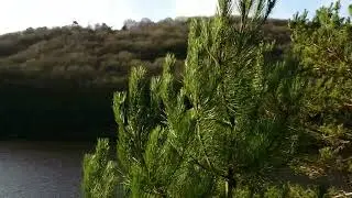 Entends-tu le cri de la montagne ?
