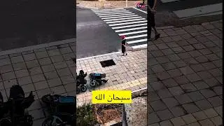 صانع المعروف لا يقع وإن وقع وجد متكأً