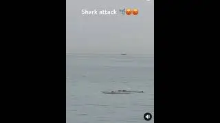 Shark attack in Egypt 🇪🇬 for all no swimming for 2 days 