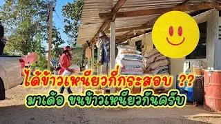 16. ได้ข้าวเหนียวกี่กระสอบ โคกหนองนาลุงพล 