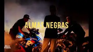 Almas Negras - Zachee Juarez | (Video Official)