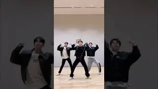 SVT Hoshi-DK-Dino 
