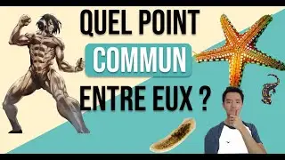 Attaque des Titans (SNK) : Comment fonctionne la régénération des organes dans la vraie vie ?