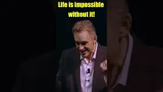 If You Don't Have THIS You'll Be Desperate | Jordan Peterson