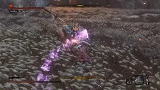 Almost a flawless Isshin