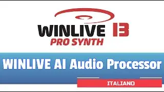 Winlive Pro Synth 13 - WINLIVE AUDIO PROCESSOR (italiano)