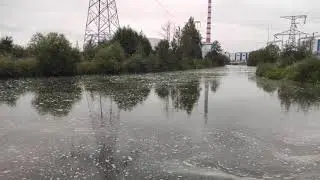 Как ловить креветку