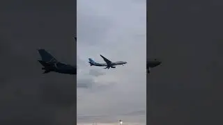 #flightlanding #toronto #torontoraptors #viral #viralvideo