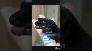 у меня будет эу ураааа 🤩🥳🥳🥳🥳