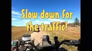 Leaf peeping NY,  Elizaville Phantom riders' style!