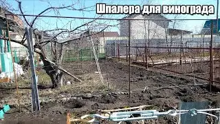 Шпалера для винограда Своими Руками