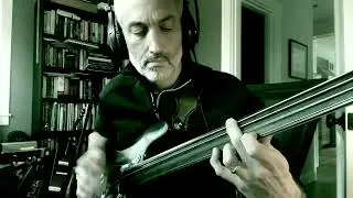 Baritone Riff - Mateus Asato (fretless bass arrangement with tabs)