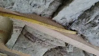 Installing rock wool in crawl space