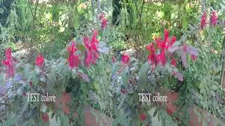 Vr180 Kandao QooCam EGO TEST stabilizzazione e colore VR180