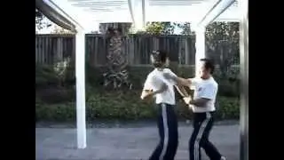 Uechi Ryu - Sanseiryu Bunkai (A Different Take) - Henry Thom