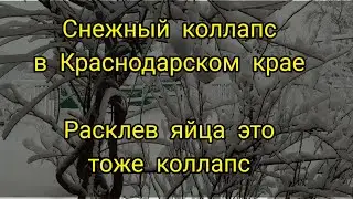 Зима в разгаре Краснодарский край всегда не готов к снегу. Куры пугают петух плохо работает.