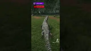 Land Croc