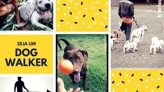 Quero ser um Dog Walker - Suas vantagens e ganhos.