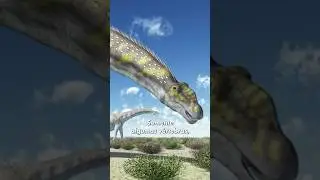 ARGENTINOSSAURO, UM DINOSSAURO ARGENTINO? 
