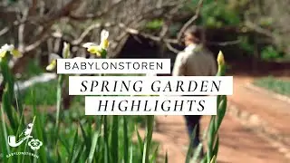 Virtual Garden Tour - Spring Garden 2020 | Babylonstoren, South Africa