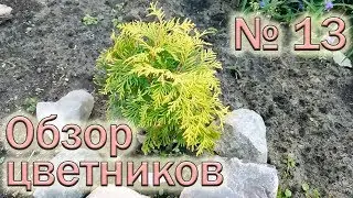 Обзор цветников №13. Хвойные растения, гортензии, барбарисы, рододендроны