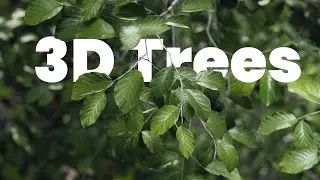 European Beech Trees – 3D Scanned, SpeedTree Customizable | Unreal, Blender, Maya | PolyCG