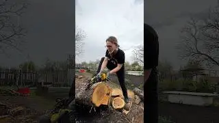 Очень странный дровосек… 