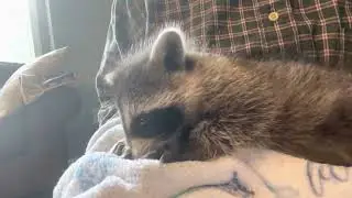 Baby suckling on his blanket.