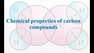 Chemical Properties of Carbon Compounds
