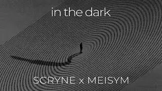 Scryne & Meisym - In the Dark