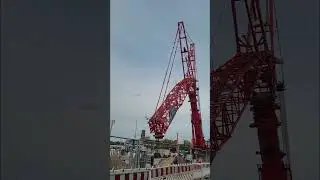 #куда