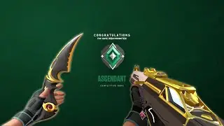 No Recoil Crosshair : 0;P;c;8;u;000000FF;o;1;d;1;b;1;f;0;0b;0;1b;0