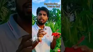 Pollination ( प्राग कन)#shorts #trending #biology#ytshorts