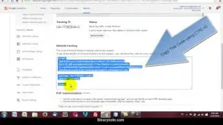 How to add Google Analytics Code in a Wallpaper theme