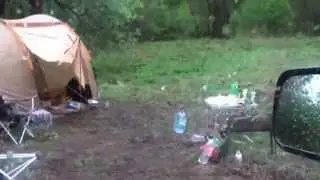 Медведь отжал планшет. СМОТРЕТЬ ВСЕМ. ЖЕСТЬ!!!!!