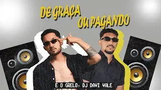 BREGADEIRA - DE GRAÇA OU PAGANDO - É O GRELO, DJ DAVI VALE