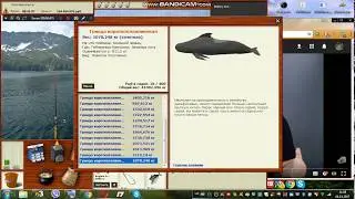 Гринда короткоплавниковая. Русская рыбалка 3,99 Норвегия