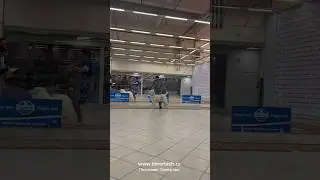 Ходил на социализацию РУЗИК (Тимерташ Рузимир) 5 мес овчарки Тимерташ запись на щенков +79048881825