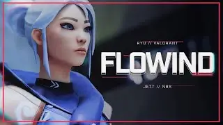 Flowind by DotBee, RXDN, HalfEar, VALUE (Valorant NBS Montage)