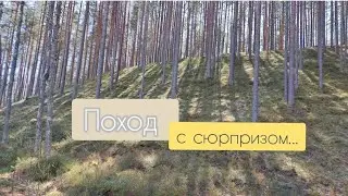 Пошли, поехали/ Поход с сюрпризом