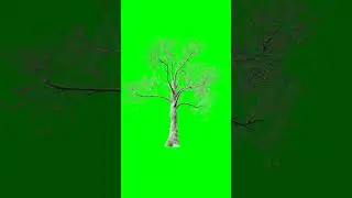 Growing tree green screen material 