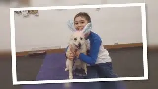 Agility, Kids & Dogs are the best!