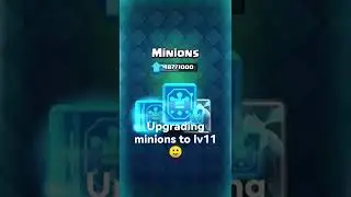 Upgrading minions to lv11 🙂