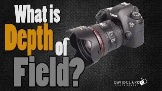Depth of Field Explained